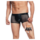 Stylish Platinum Guys - Men's Sheer Underwear Collection CherryAffairs