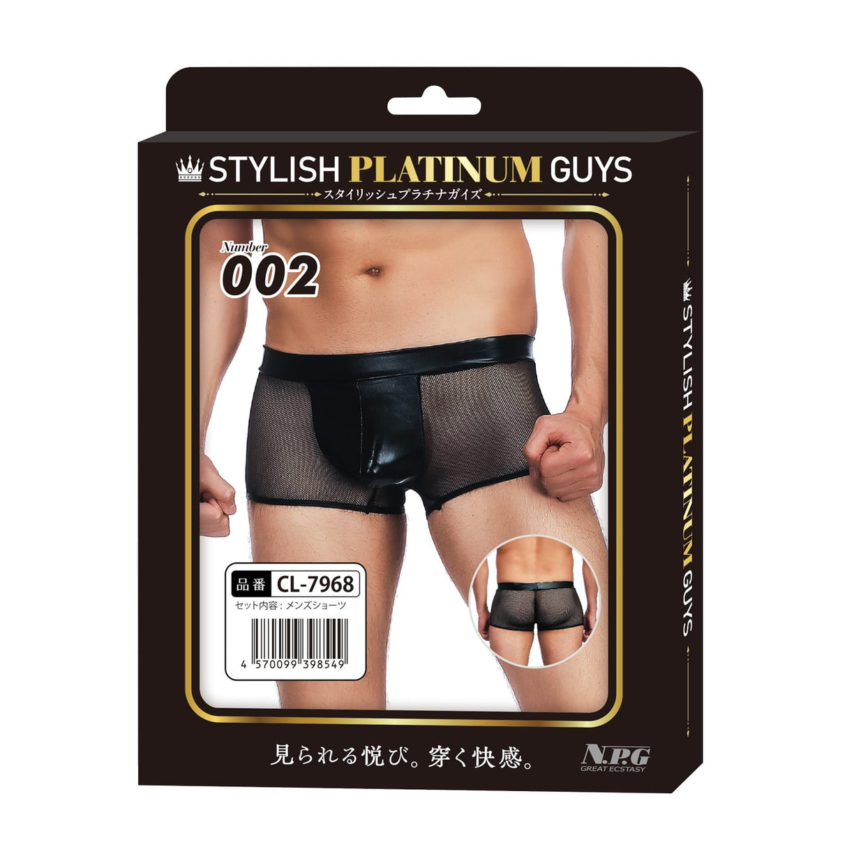 Stylish Platinum Guys - Men's Sheer Underwear Collection CherryAffairs