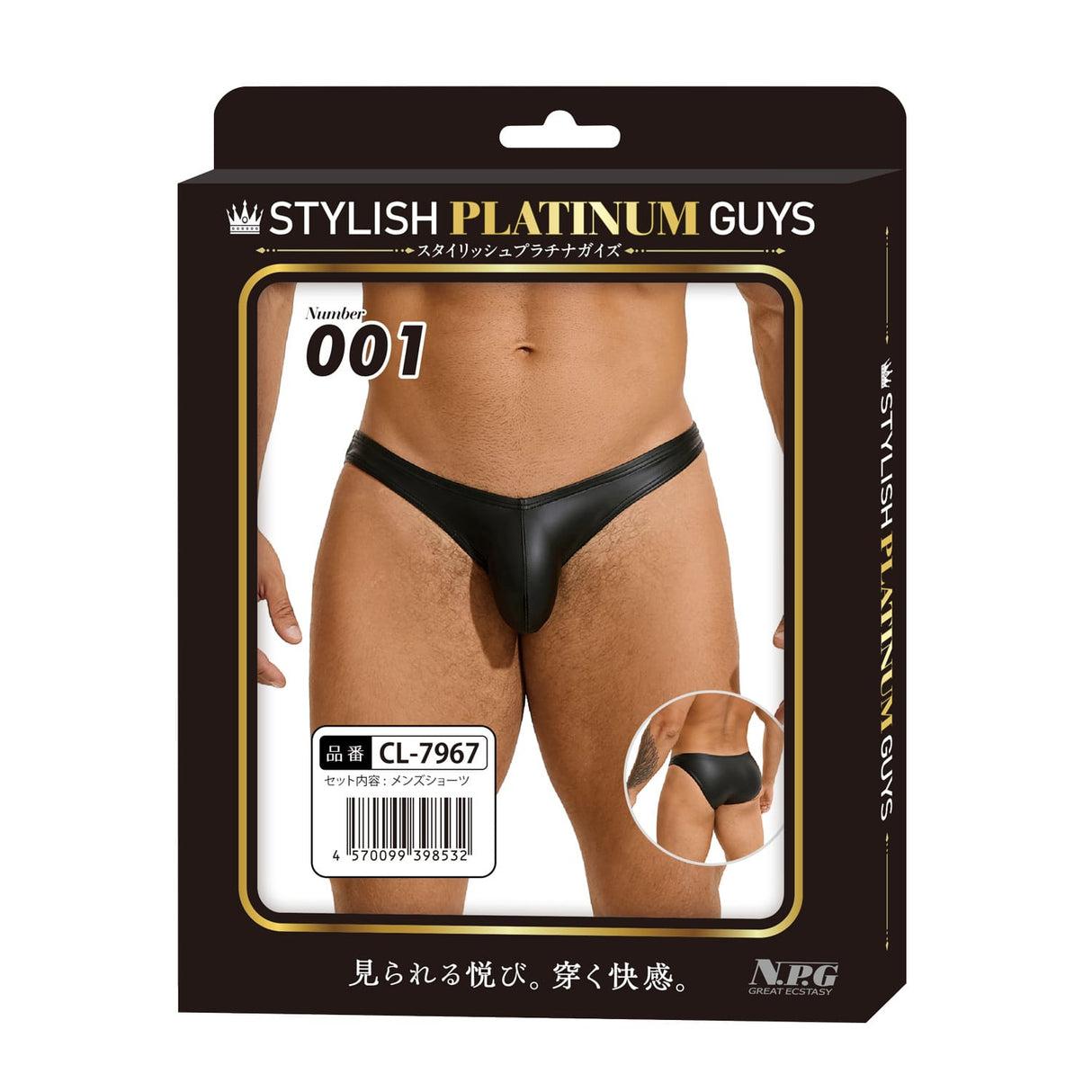 Stylish Platinum Guys - Men's Sheer Underwear Collection CherryAffairs