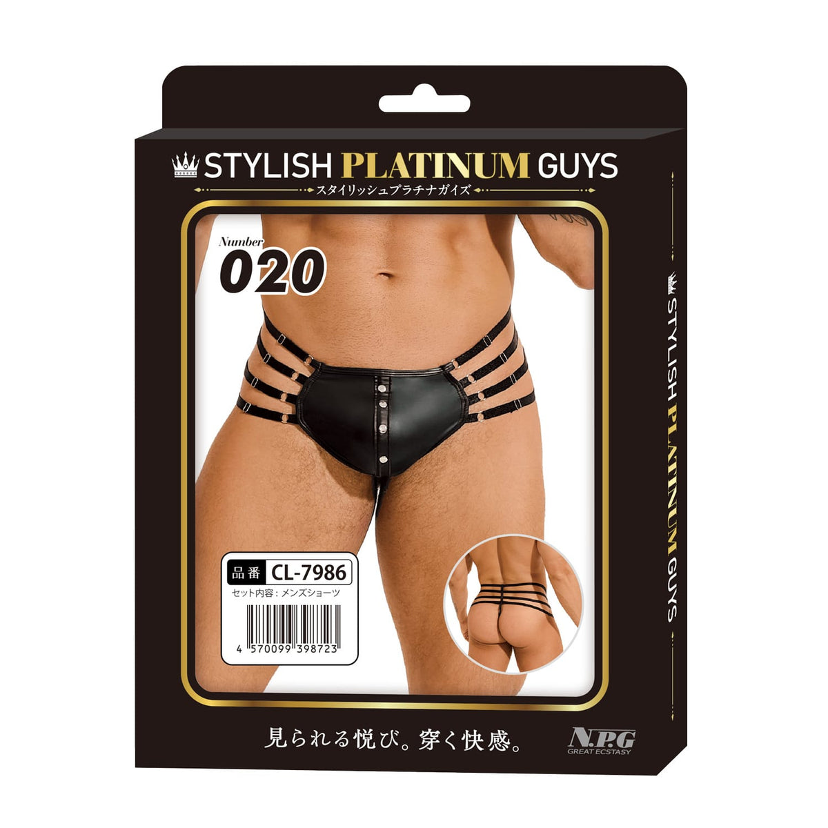 Stylish Platinum Guys - Men's Sheer Underwear Collection CherryAffairs