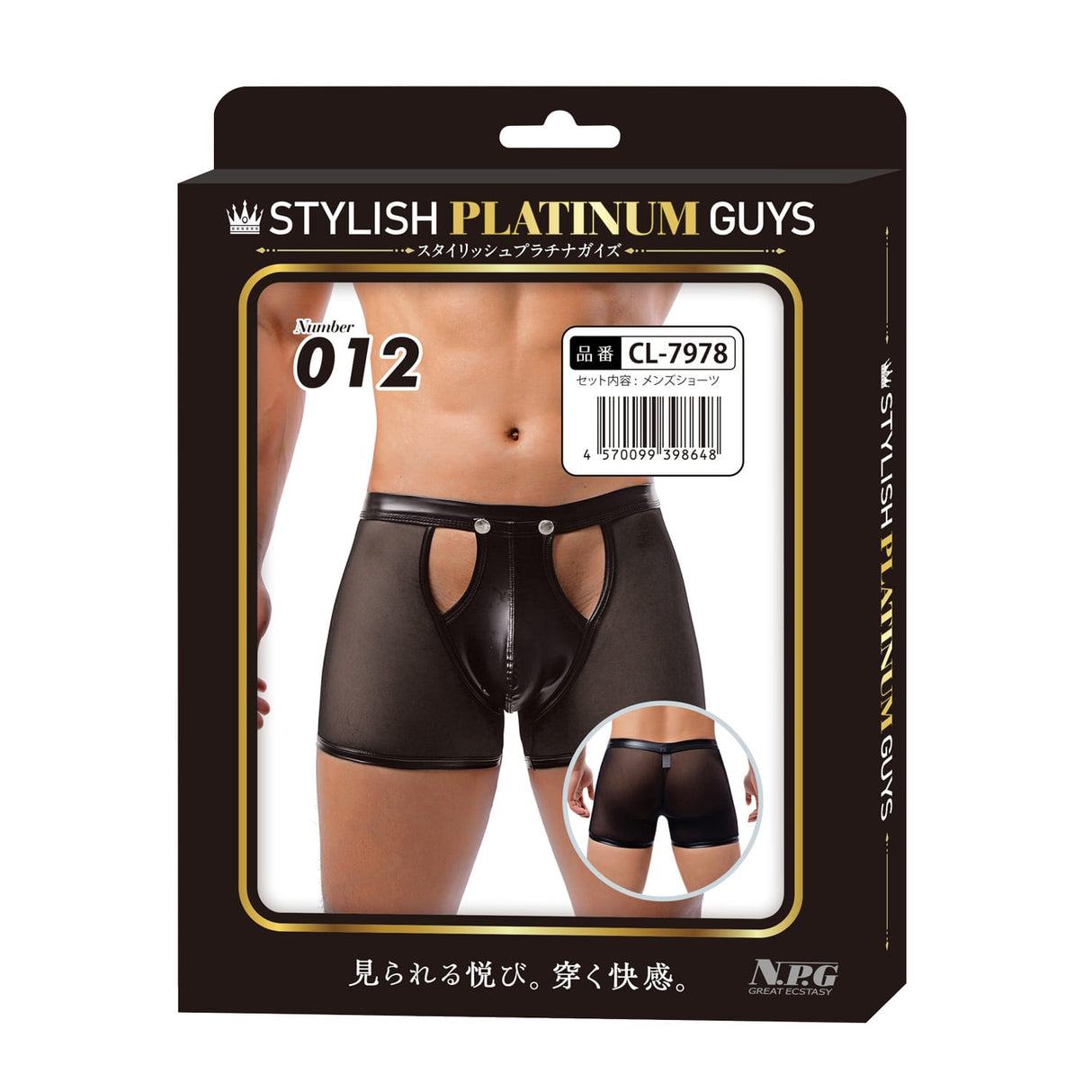 Stylish Platinum Guys - Men's Sheer Underwear Collection CherryAffairs
